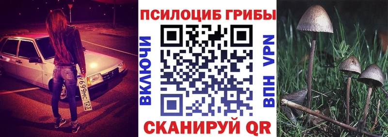 Псилоцибиновые грибы ЛСД Балей