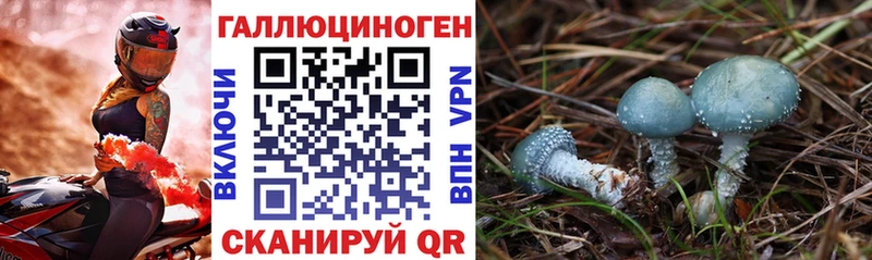 продажа наркотиков  Балей  Галлюциногенные грибы мухоморы 